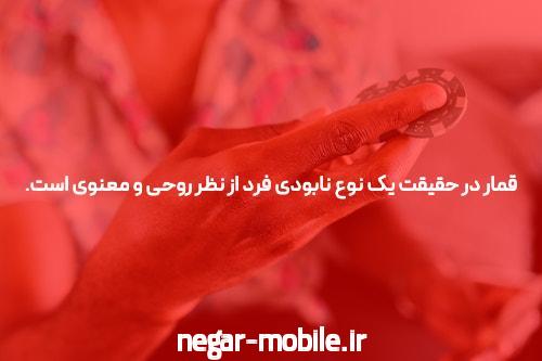 معرفی سایت halfbet شرط بندی: تجربهای نوین در دنیای شرط بندی آنلاین