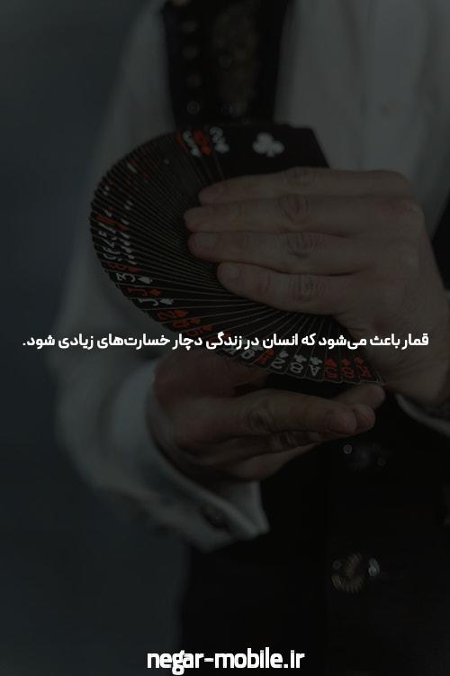 معرفی دنس بت بهترین سایت شرط بندی